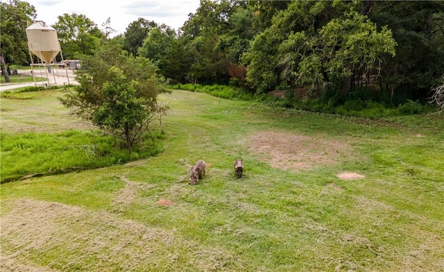 10285 Ferrill Creek Rd, Bryan, TX 77808 - photo 38