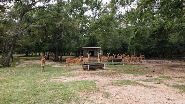 10285 Ferrill Creek Rd, Bryan, TX 77808 - photo 39