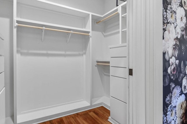 spacious closet featuring hardwood / wood-style floors