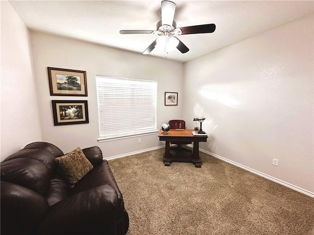 792 Mimosa Ln, Franklin, TX 77856 - photo 18