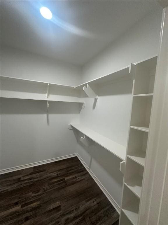 walk in closet featuring dark hardwood / wood-style flooring