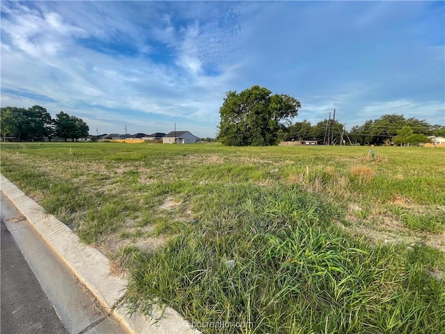 view of yard with a rural view