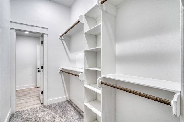 spacious closet with carpet flooring