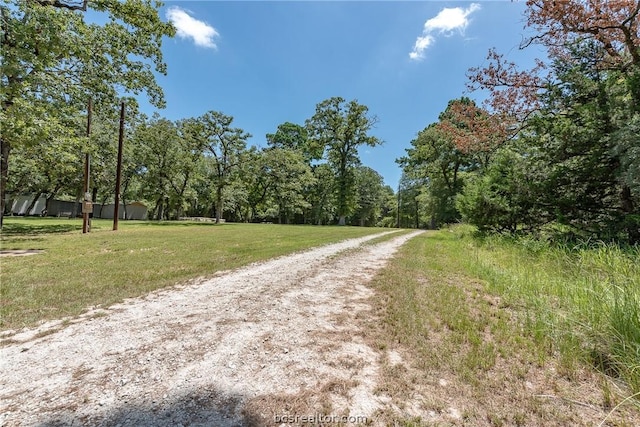 10933 Clyde Accord Rd, Franklin, TX 77856 - view of dirt / gravel road