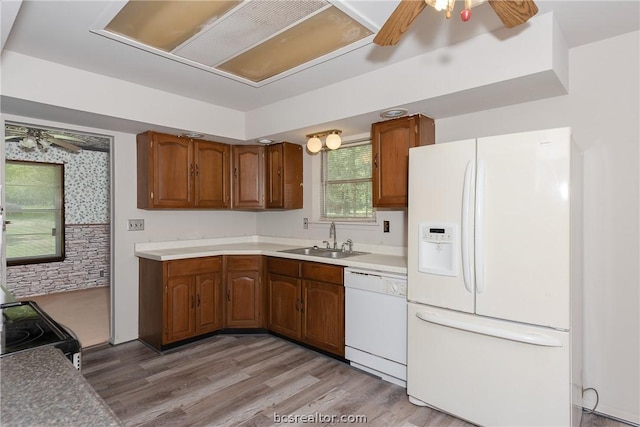 kitchen featuring white appliances, light hardwood / wood-style floors, ceiling fan, and sink