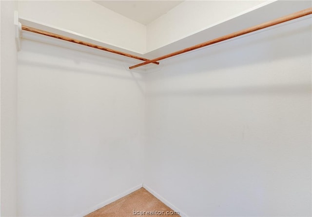 10933 Clyde Accord Rd, Franklin, TX 77856 - walk in closet with light colored carpet