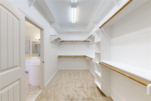 spacious closet with light carpet