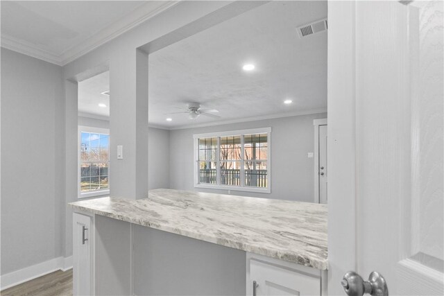 kitchen featuring a wealth of natural light, visible vents, white cabinets, and crown molding