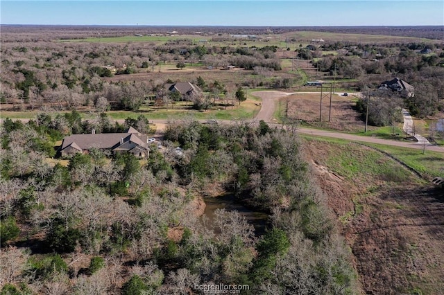 5209 Ruddy Duck Dr, College Station, TX 77845 - photo 5
