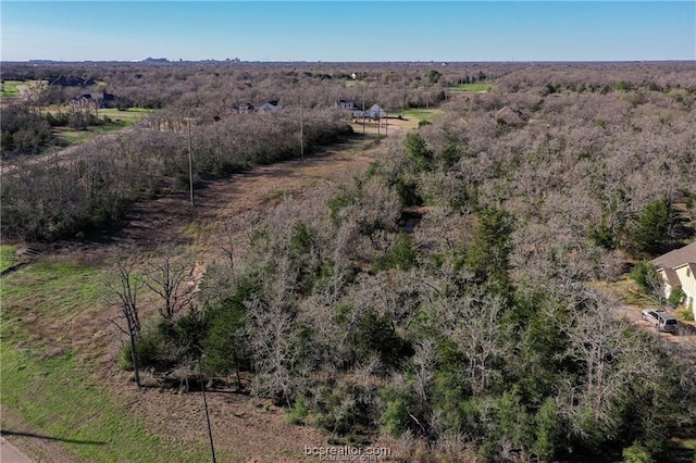 5209 Ruddy Duck Dr, College Station, TX 77845 - photo 6