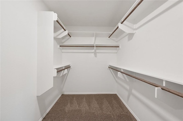 spacious closet featuring dark colored carpet