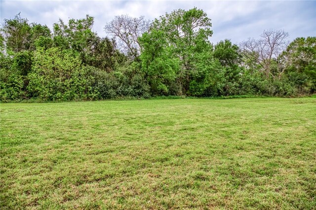 view of yard featuring a wooded view