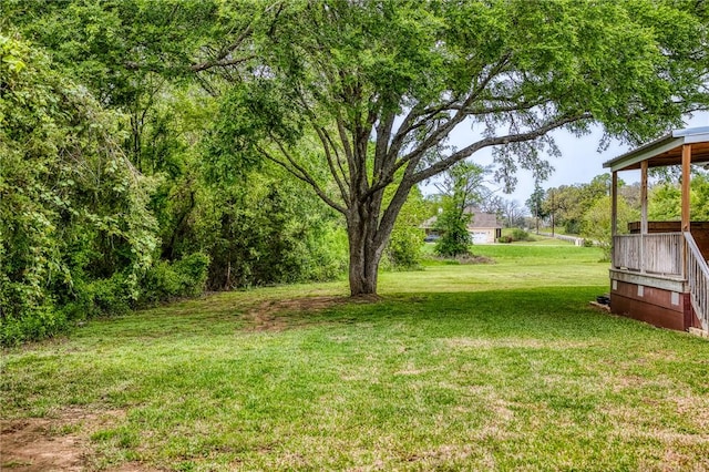 view of yard