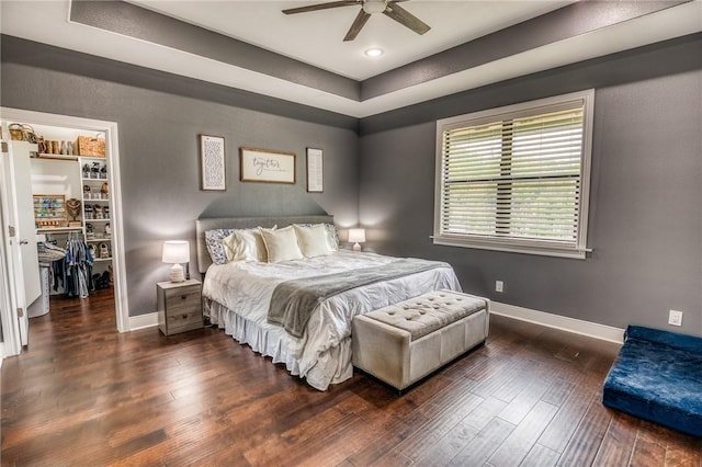bedroom with a ceiling fan, wood finished floors, baseboards, a spacious closet, and a tray ceiling