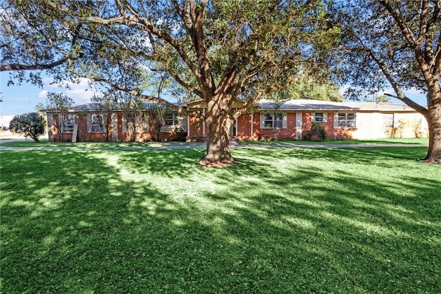 ranch-style house featuring a front yard