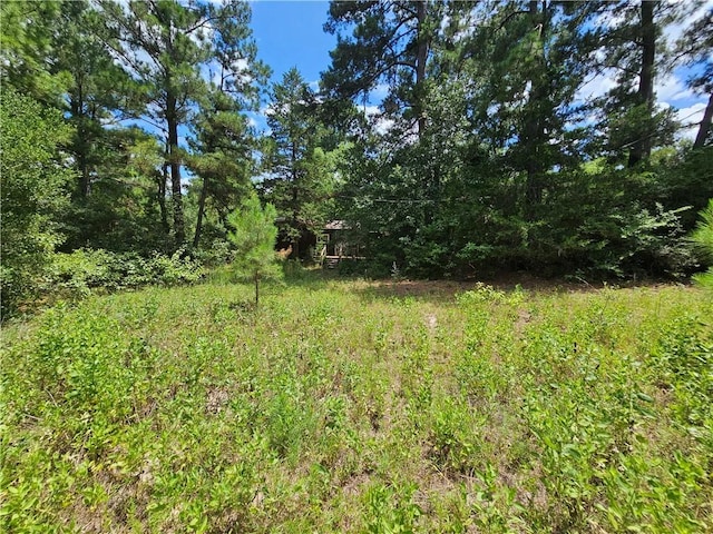3634 Luthe Rd, Bedias, TX 77831
