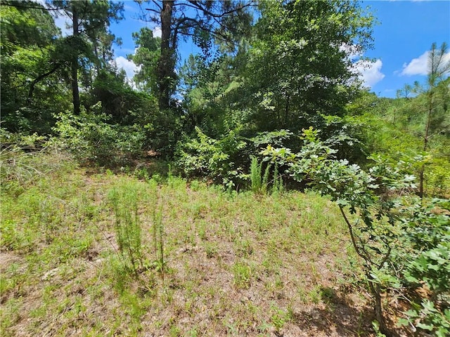 3634 Luthe Rd, Bedias, TX 77831