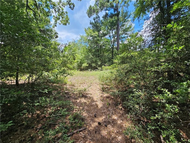3634 Luthe Rd, Bedias, TX 77831