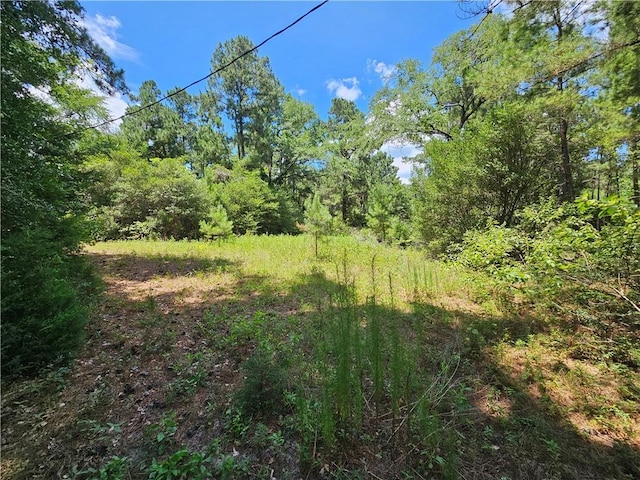 3634 Luthe Rd, Bedias, TX 77831