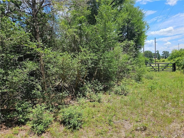3634 Luthe Rd, Bedias, TX 77831