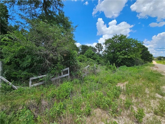 3634 Luthe Rd, Bedias, TX 77831