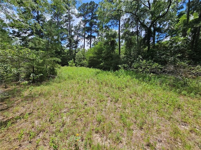 3634 Luthe Rd, Bedias, TX 77831
