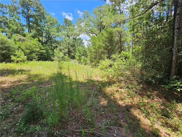 3634 Luthe Rd, Bedias, TX 77831