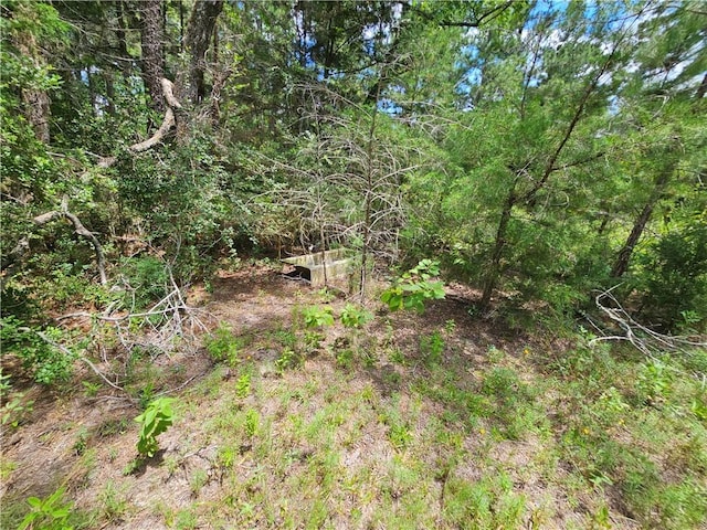 3634 Luthe Rd, Bedias, TX 77831