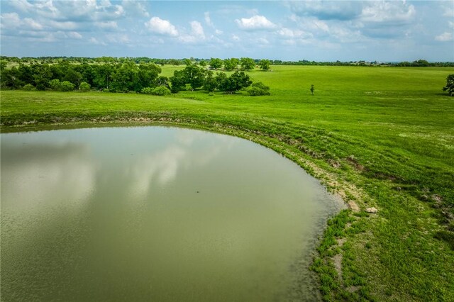 18222 N Fm 486, Buckholts, TX 76518 - view of home's community with a water view