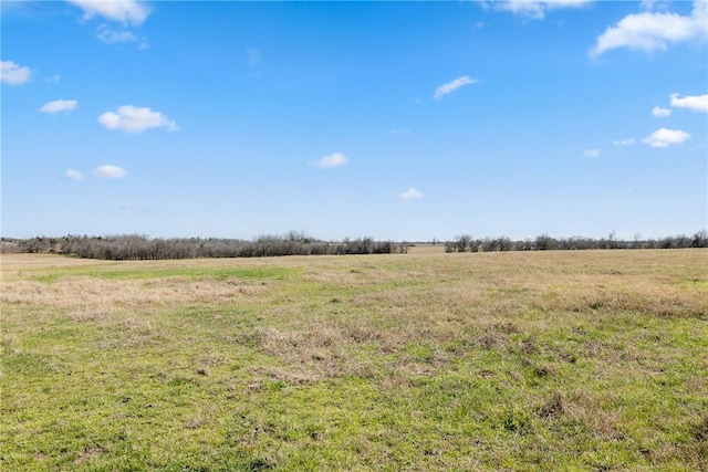 view of local wilderness with a rural view