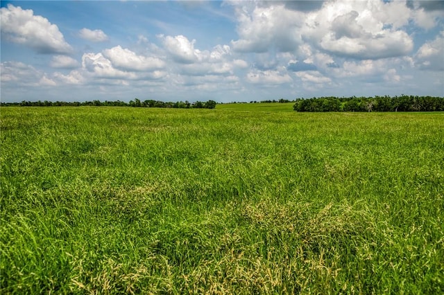 18222 N Fm 486, Buckholts, TX 76518 - view of local wilderness featuring a rural view
