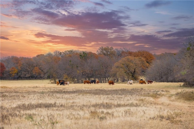 355 County Road 144, Comanche, TX 76442 - photo 2
