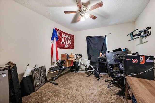 1008 Cedar Run, College Station, TX 77840 - office space with carpet, ceiling fan, and a textured ceiling