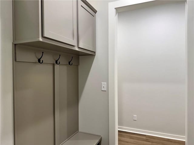 mudroom with dark wood-type flooring