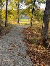 TBDLOT37 Lcr 902, Jewett, TX 75846