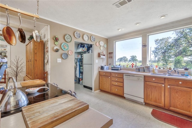 kitchen featuring a textured ceiling, white appliances, ornamental molding, and sink