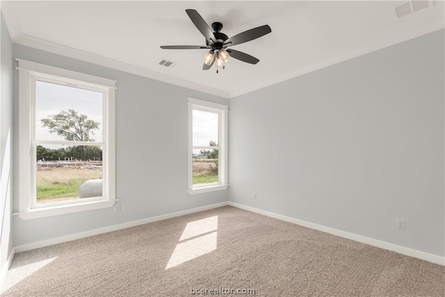 empty room with carpet floors, ceiling fan, and ornamental molding