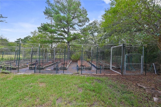 view of jungle gym