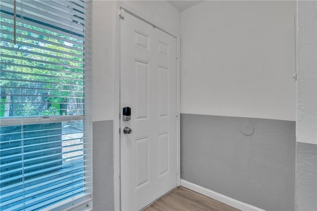 doorway with plenty of natural light and wood finished floors