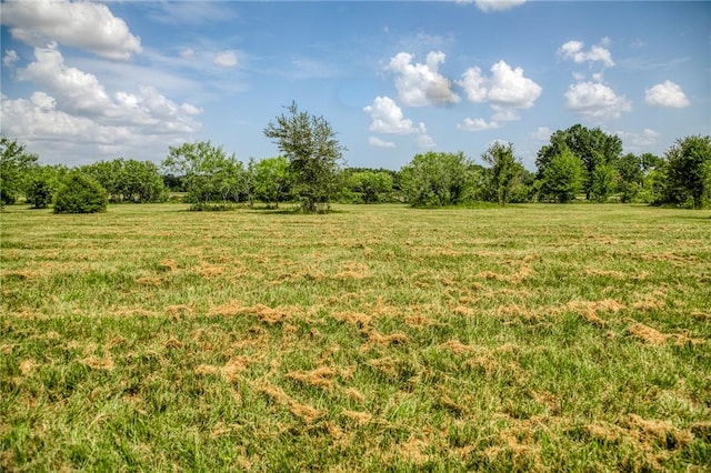 9159 Fm 1362 N, Caldwell, TX 77836 - view of local wilderness with rural landscape