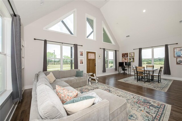 9159 Fm 1362 N, Caldwell, TX 77836 - living area featuring high vaulted ceiling and dark wood-type flooring
