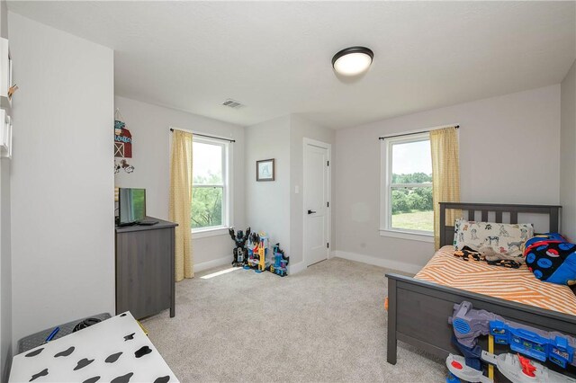 9159 Fm 1362 N, Caldwell, TX 77836 - bedroom with light carpet and baseboards