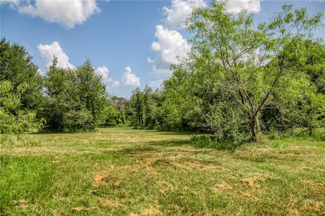 9159 Fm 1362 N, Caldwell, TX 77836 - view of woods
