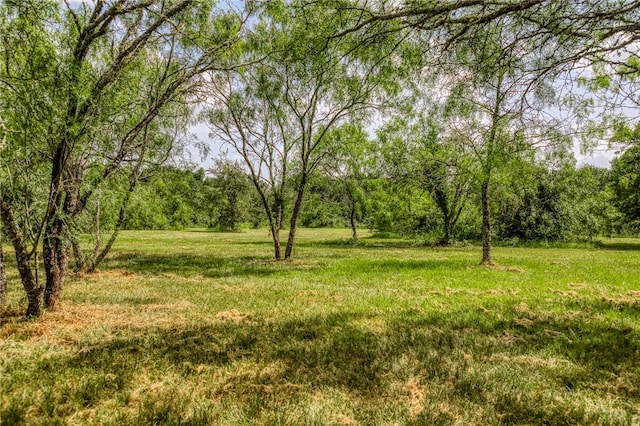 9159 Fm 1362 N, Caldwell, TX 77836 - view of grassy yard with a forest view