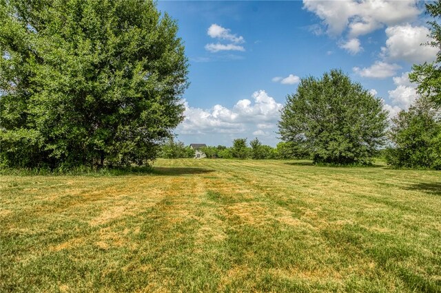 9159 Fm 1362 N, Caldwell, TX 77836 - view of grassy yard featuring a view of rural / pastoral area