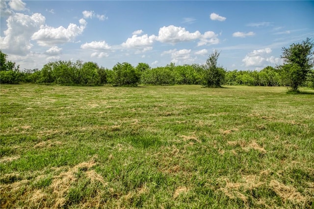 9159 Fm 1362 N, Caldwell, TX 77836 - view of green lawn featuring a view of rural / pastoral area