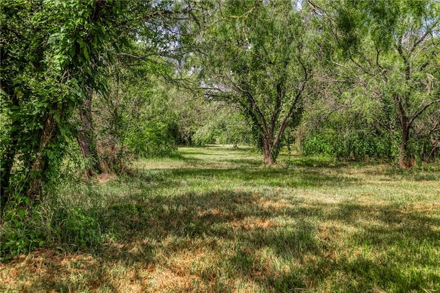 9159 Fm 1362 N, Caldwell, TX 77836 - view of tree filled area