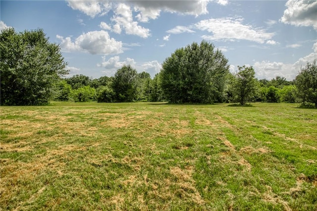 9159 Fm 1362 N, Caldwell, TX 77836 - view of green lawn with a view of trees and a view of rural / pastoral area