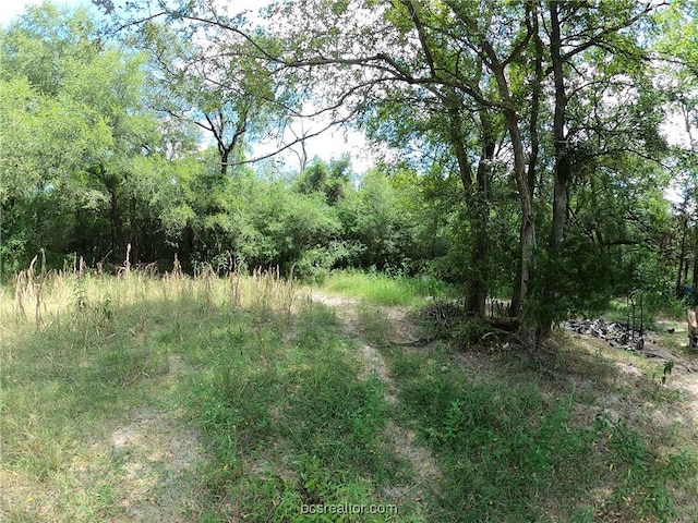 view of landscape