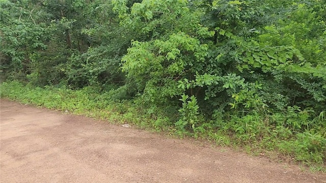 LOT8 Walnut Tree Ln, Plantersville, TX 77363 - photo 6